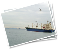 Logistics Consultants, Marine Consultants and Shipping logistics