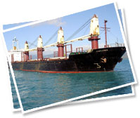 Coal Logistics, Container Logistics & Logistics Cost Analysis 