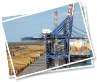 Shipyard consultants