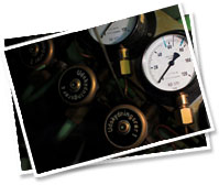 Port Feasibility Study